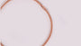 A Silver with Rose Gold Plate Necklace