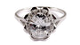 A White Cubic Zirconia Ring.