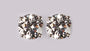 A White Cubic Zirconia Earring