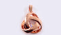 A Silver with Rose Gold Plate Pendant