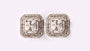 A White Cubic Zirconia Earring