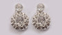 A White Cubic Zirconia Earring.