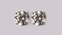 A White Cubic Zirconia Earring