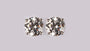 A White Cubic Zirconia Earring