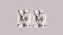 A White Cubic Zirconia 6X6 MM Earring
