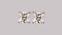 A White Cubic Zirconia Earring 5X5