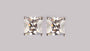 A White Cubic Zirconia Earring 6X6